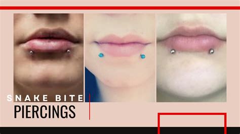 lip piercing snake bites|Snake Bites Piercing: What It Is and How to Care For It